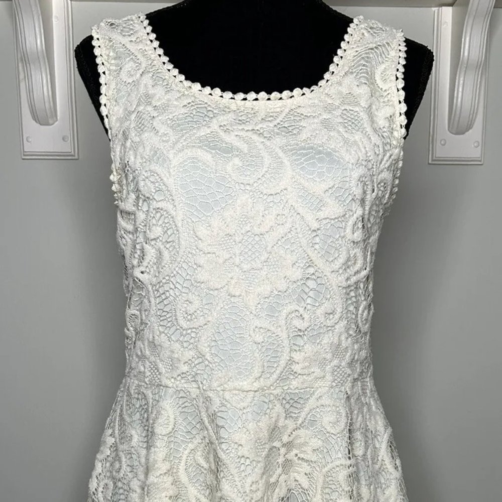 Pink Owl Fit & Flare Dress Women Large Floral Lace Cream Party Prom Casual